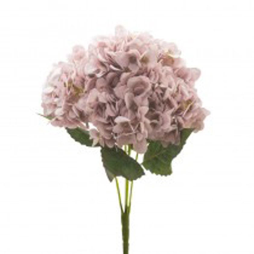 Pink Hydrangea Bunch