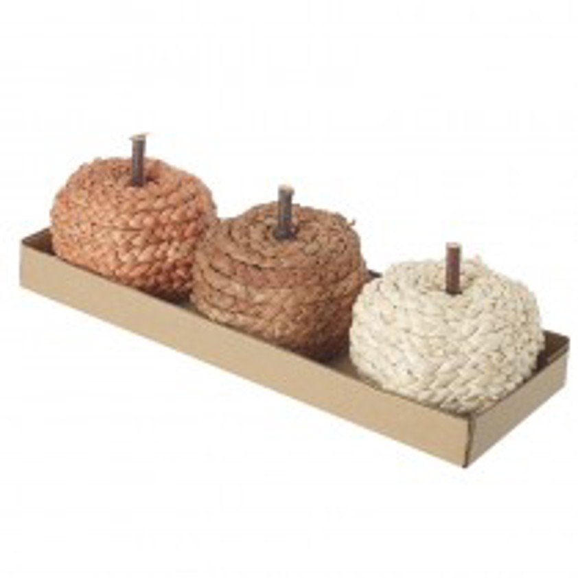 Pumpkin Set of 3