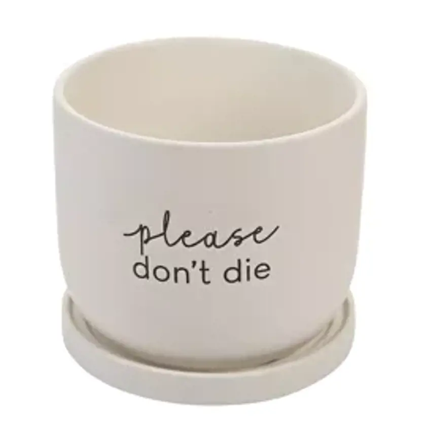 Country Living Ceramic Plant Pot - "Please Don't Die"