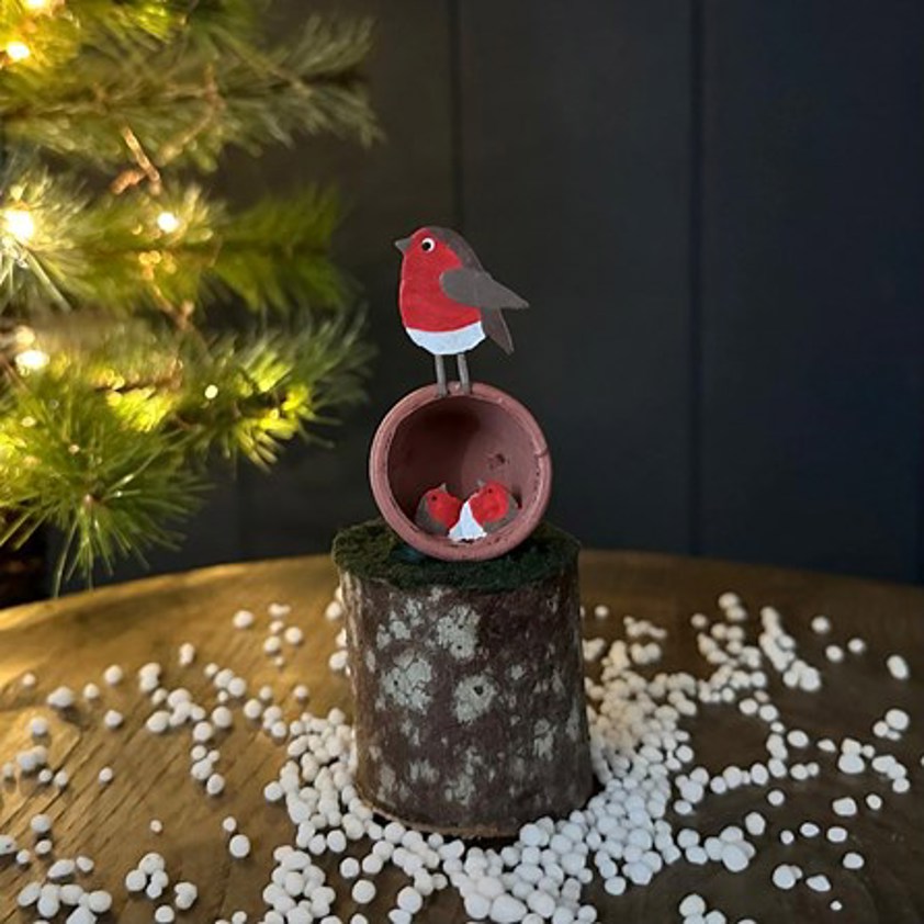 Robins Nesting In Plant Pot