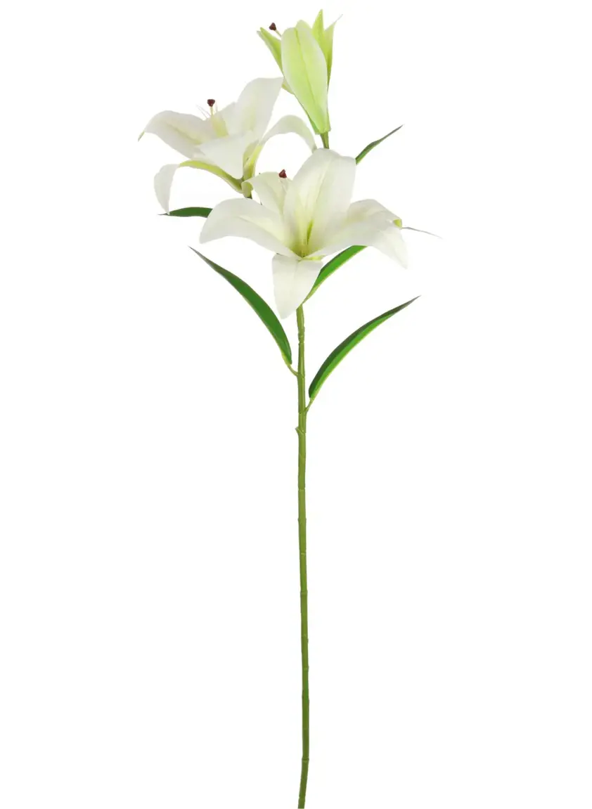 Silk Asiatic Lily White