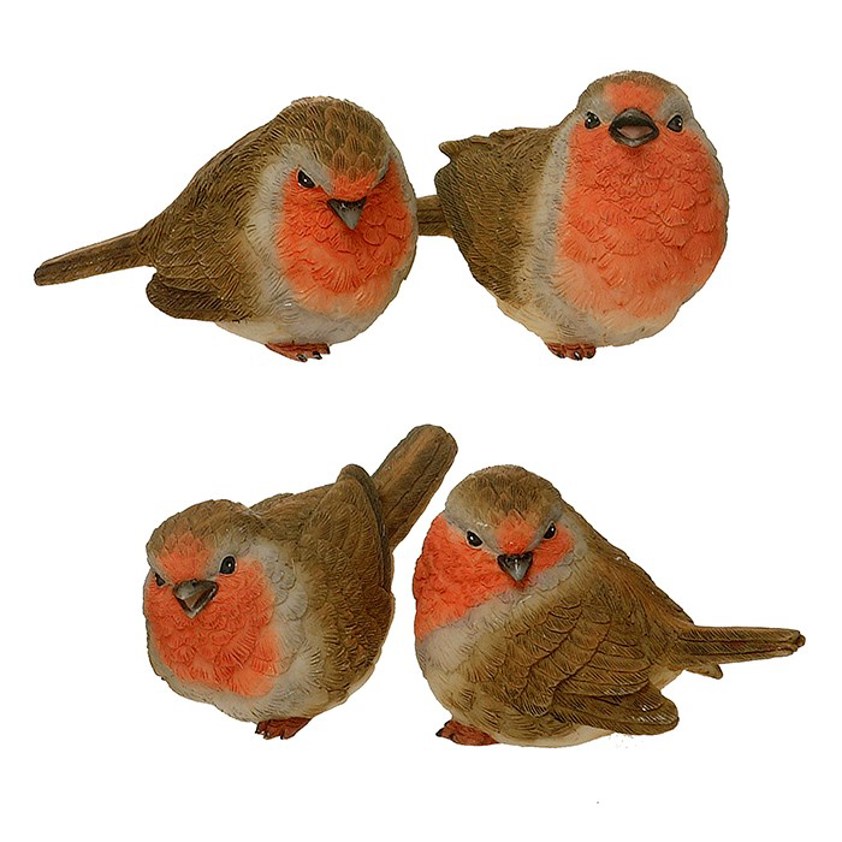 Sweet Robin Baby