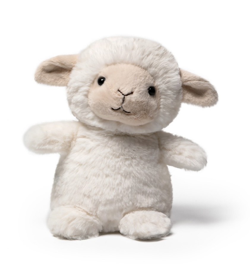 Caring Mother Sheep