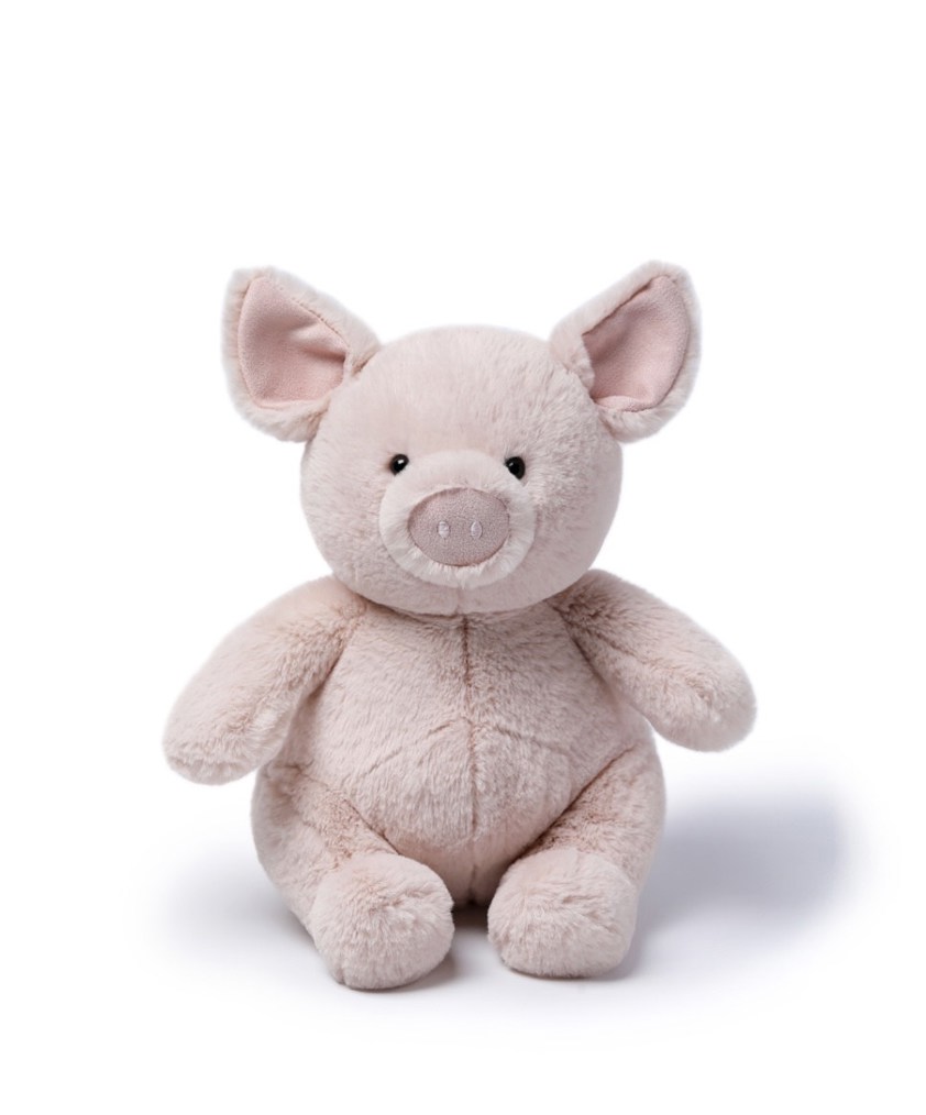 Pink Chubby Pig