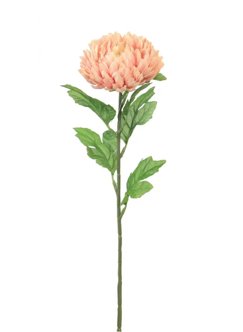 Silk Single Chrysanthemum Dusty Pink