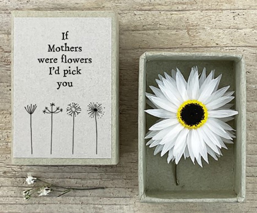 Dried flower matchbox-If mothers were flowers