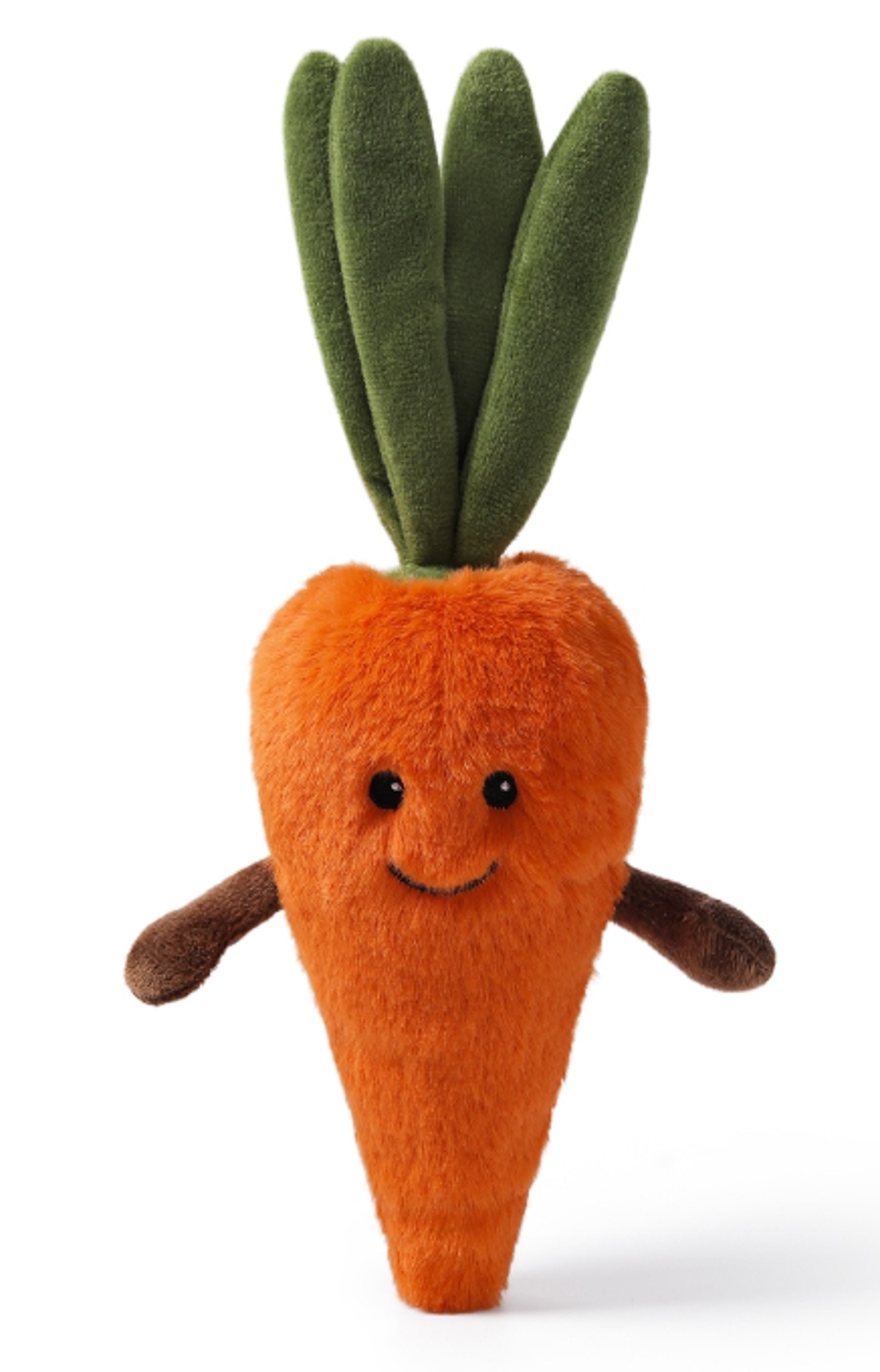 Wise Carrot