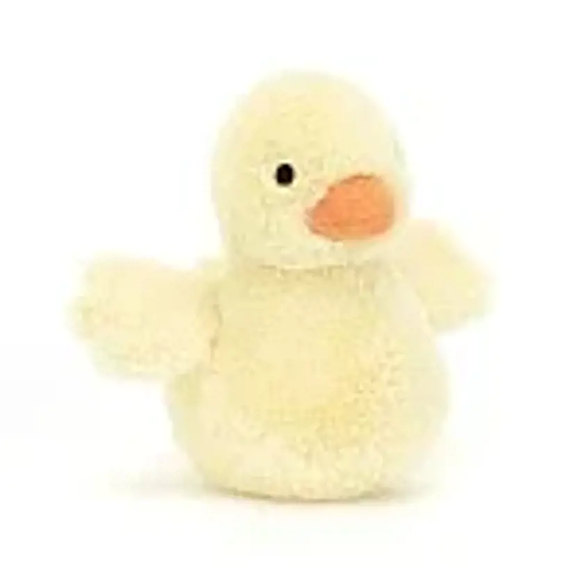 Fluffy Duck