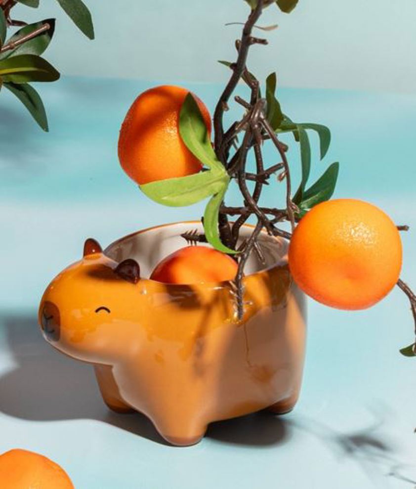 Capybara Planter