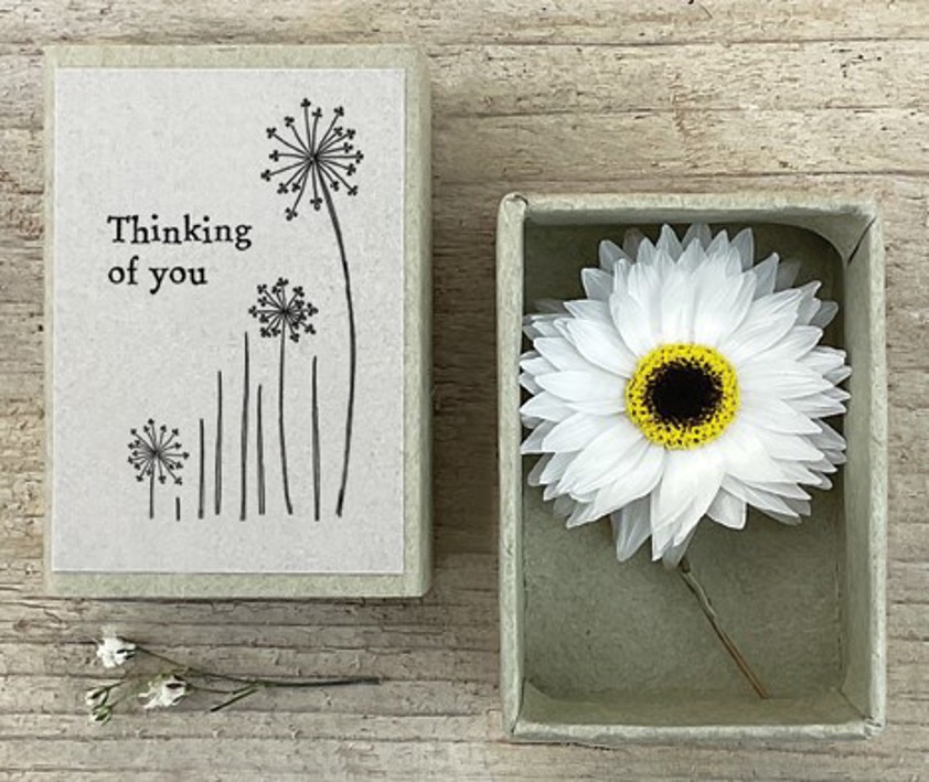 Dried flower matchbox-Thinking of you