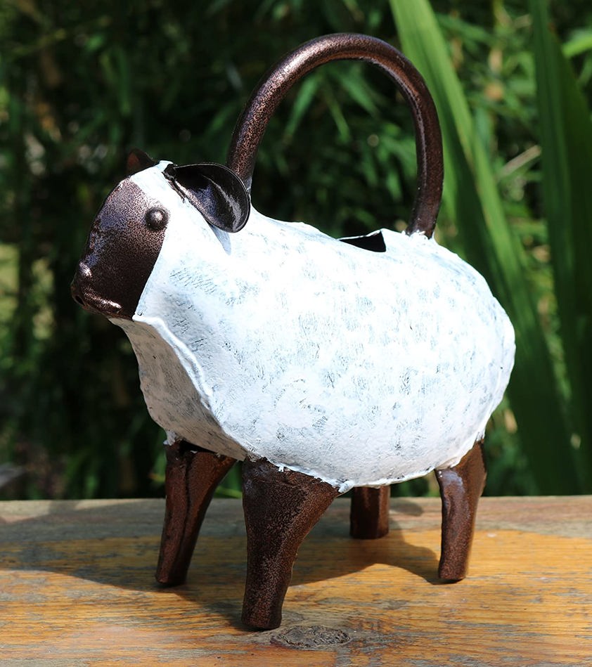 Sheep Watering Can
