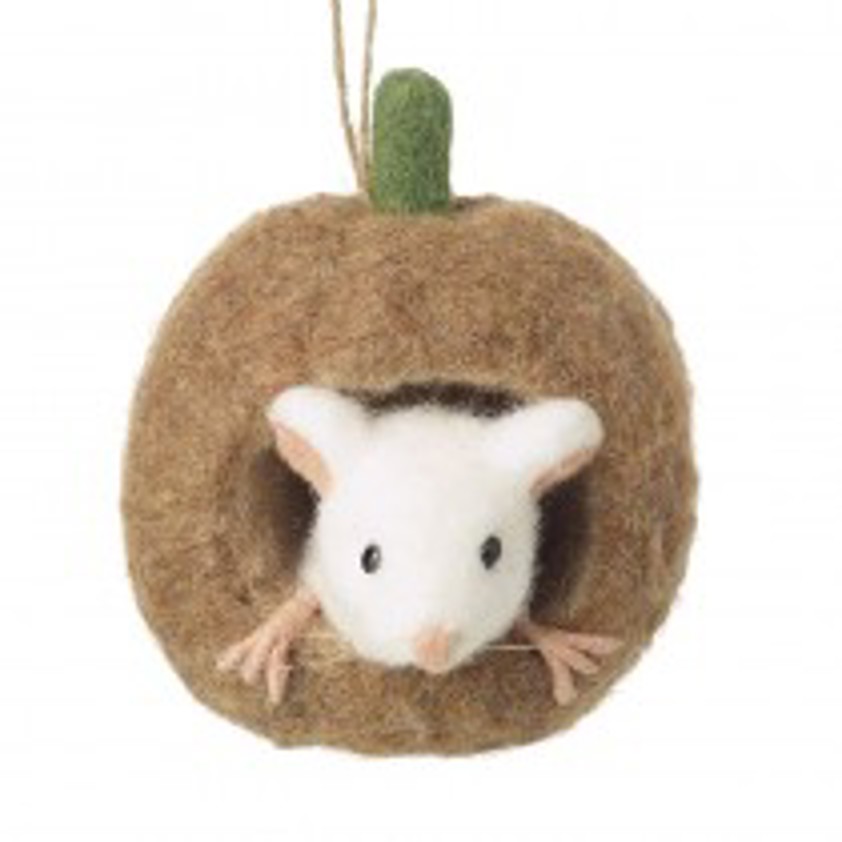 Felt Mouse In Mouse House