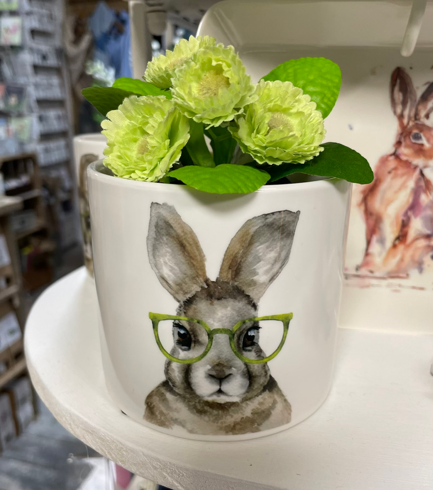 Hare Wearing Glasses Plant Pot