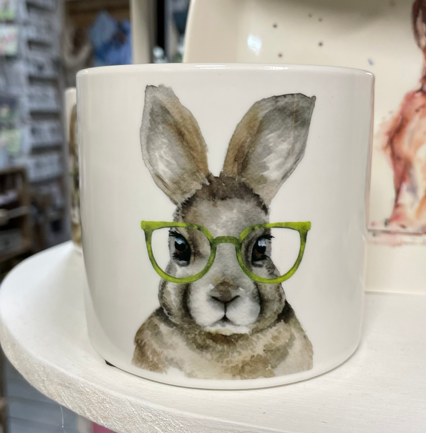 Cement Pot With Hare Wearing Glasses