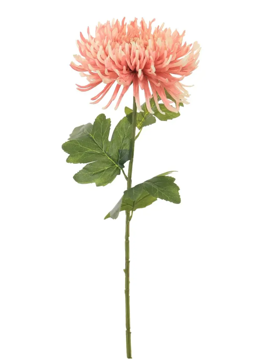 Silk Fuji Mum Stem Blush