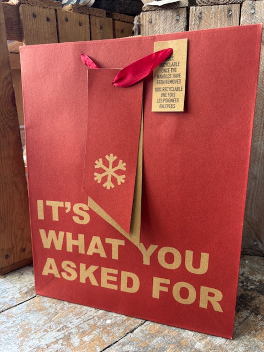 Kraft What You Asked For Large Gift Bag