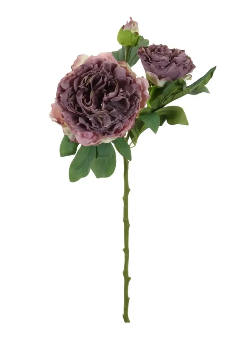 Dried Touch Eleanor Peony Vintage Mauve