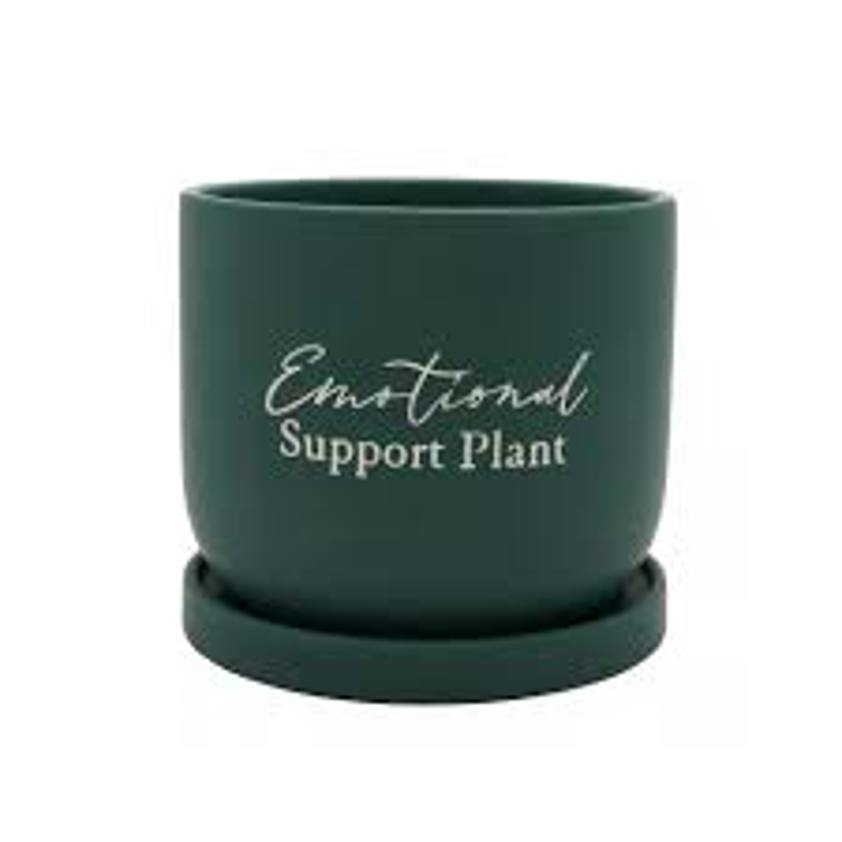 Country Living Ceramic Plant Pot - "Emotional Support Plant"