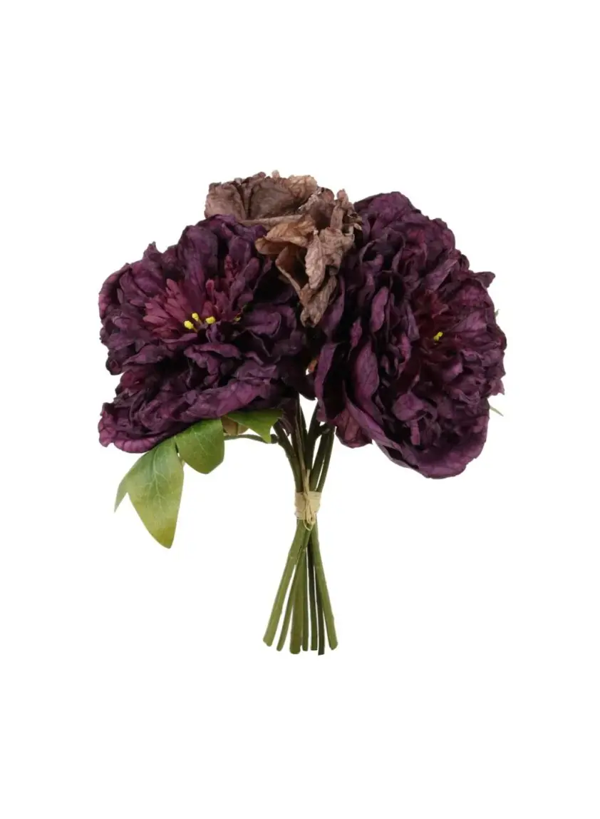 Dried Touch Open Peony Hand Tied Bunch Aubergine