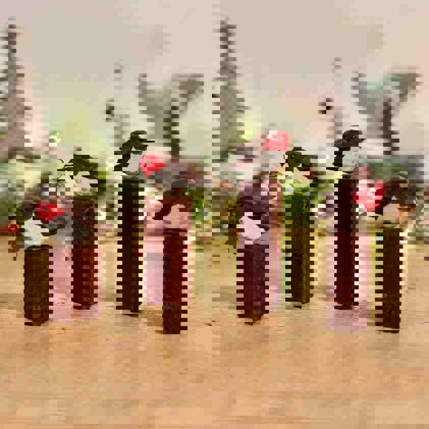 Robins on Blocks holding