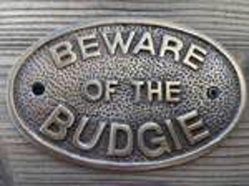 Beware of Budgie Beware of the Budgie