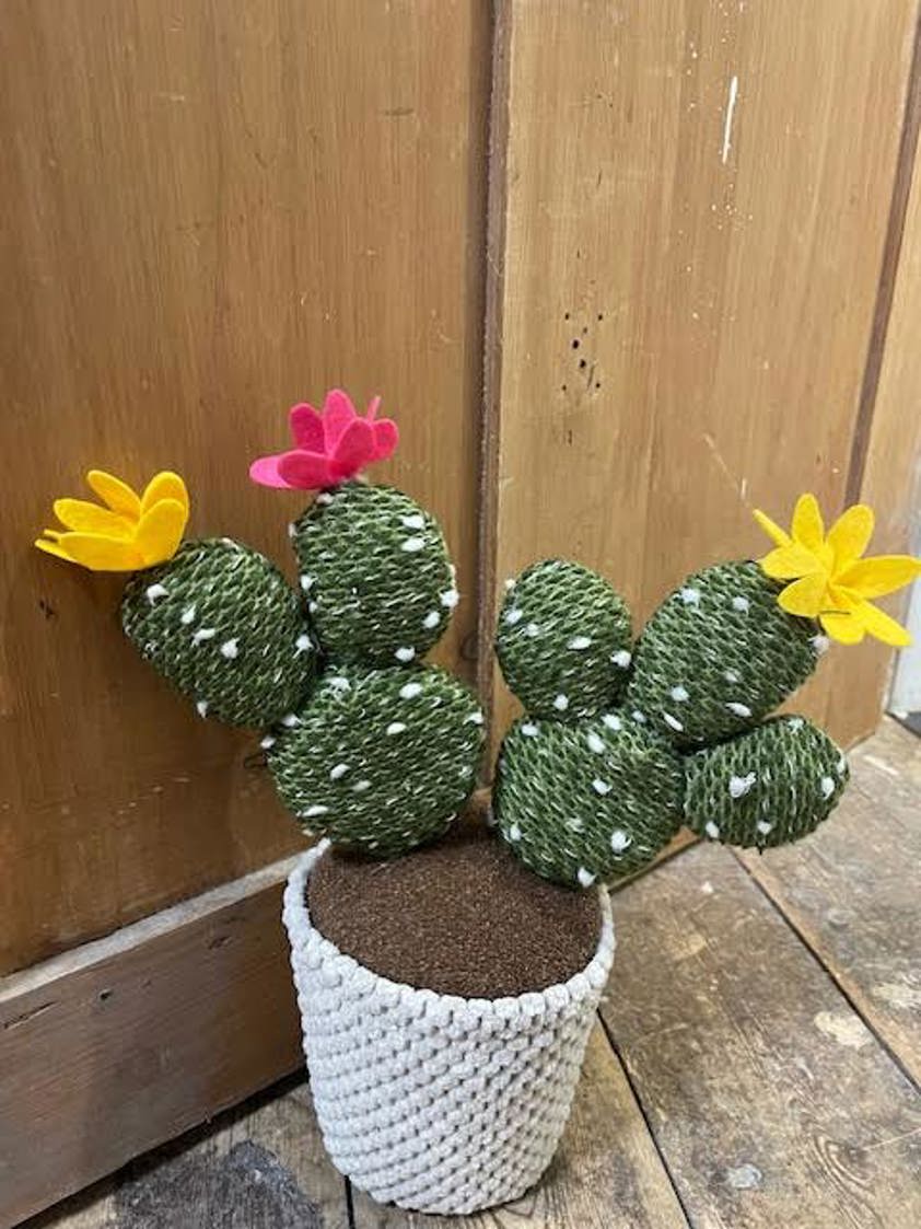 Bunny Ear Cactus Pot Door Stop