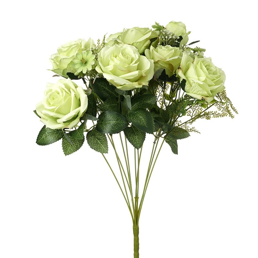 Fresh Pale Green Rose