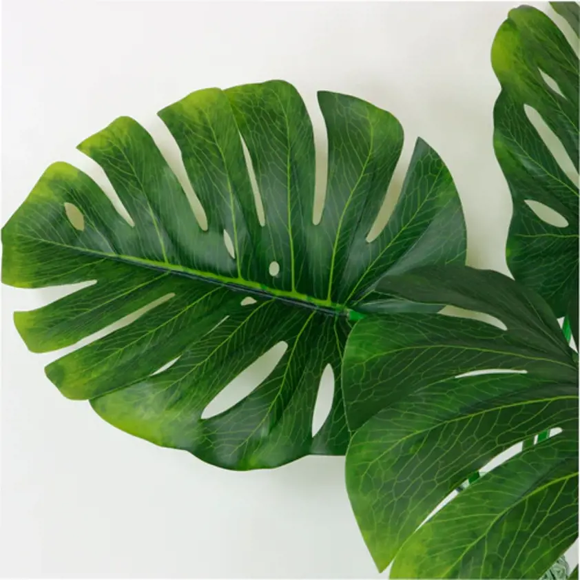 Medium Monstera Stem N.Green