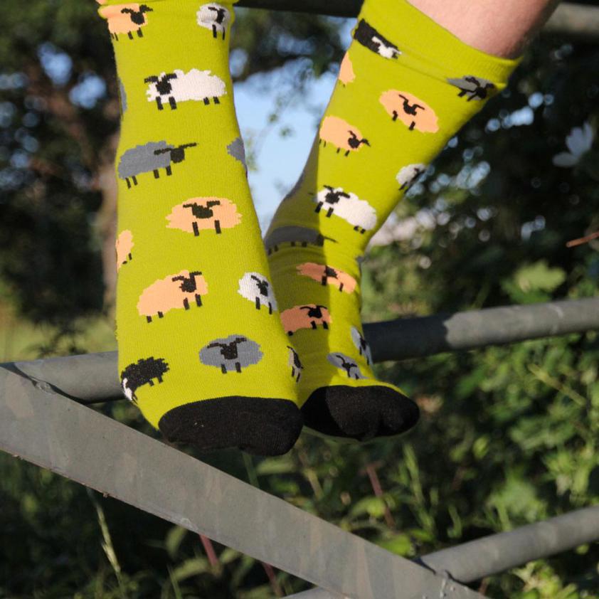 Sheep Bamboo Socks in Green