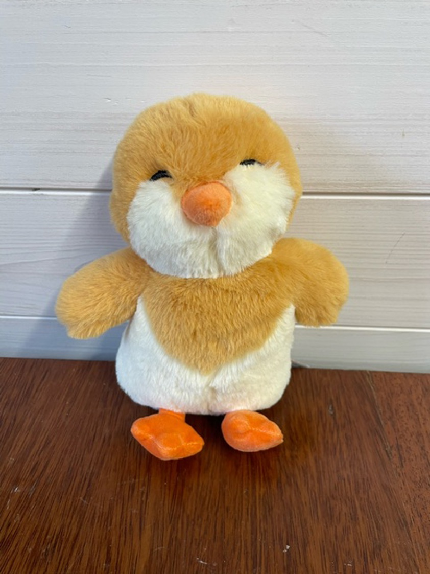 Bojan chick