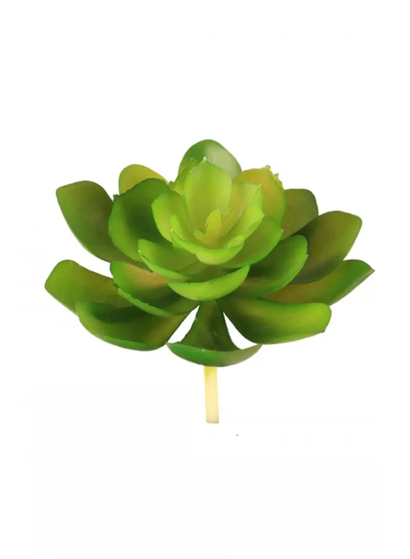 Plastic Lilypad Succulent Nat Green