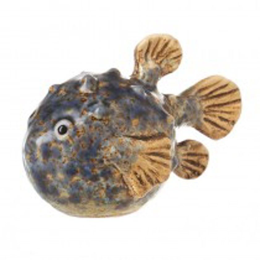 Blue Puffer Fish