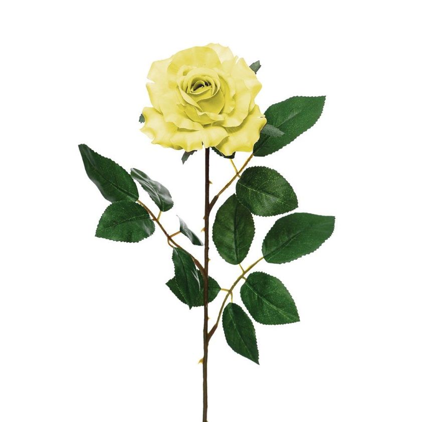 Soft Yellow Premium Rose Medium