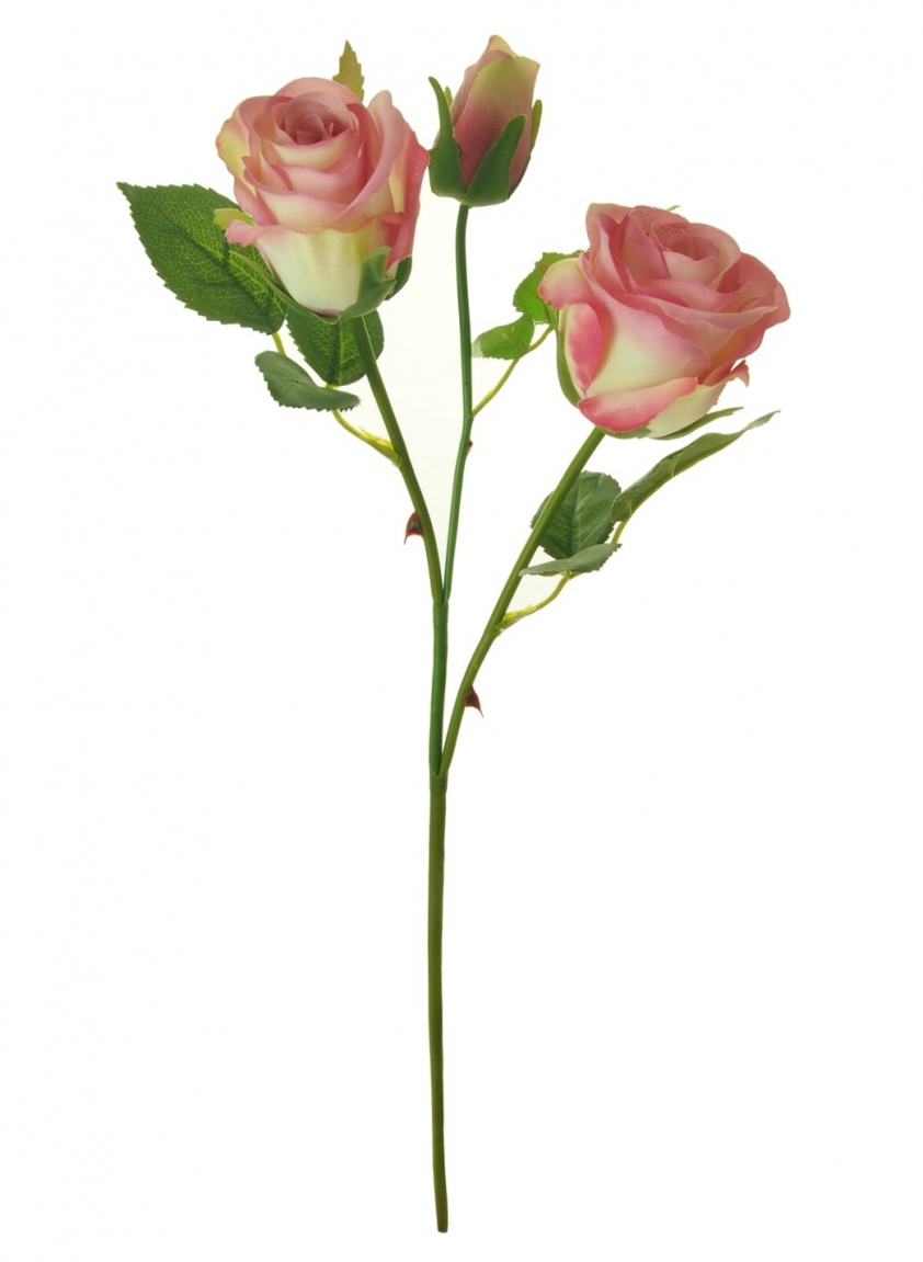 Blush Pink Savanna Rose 52cm