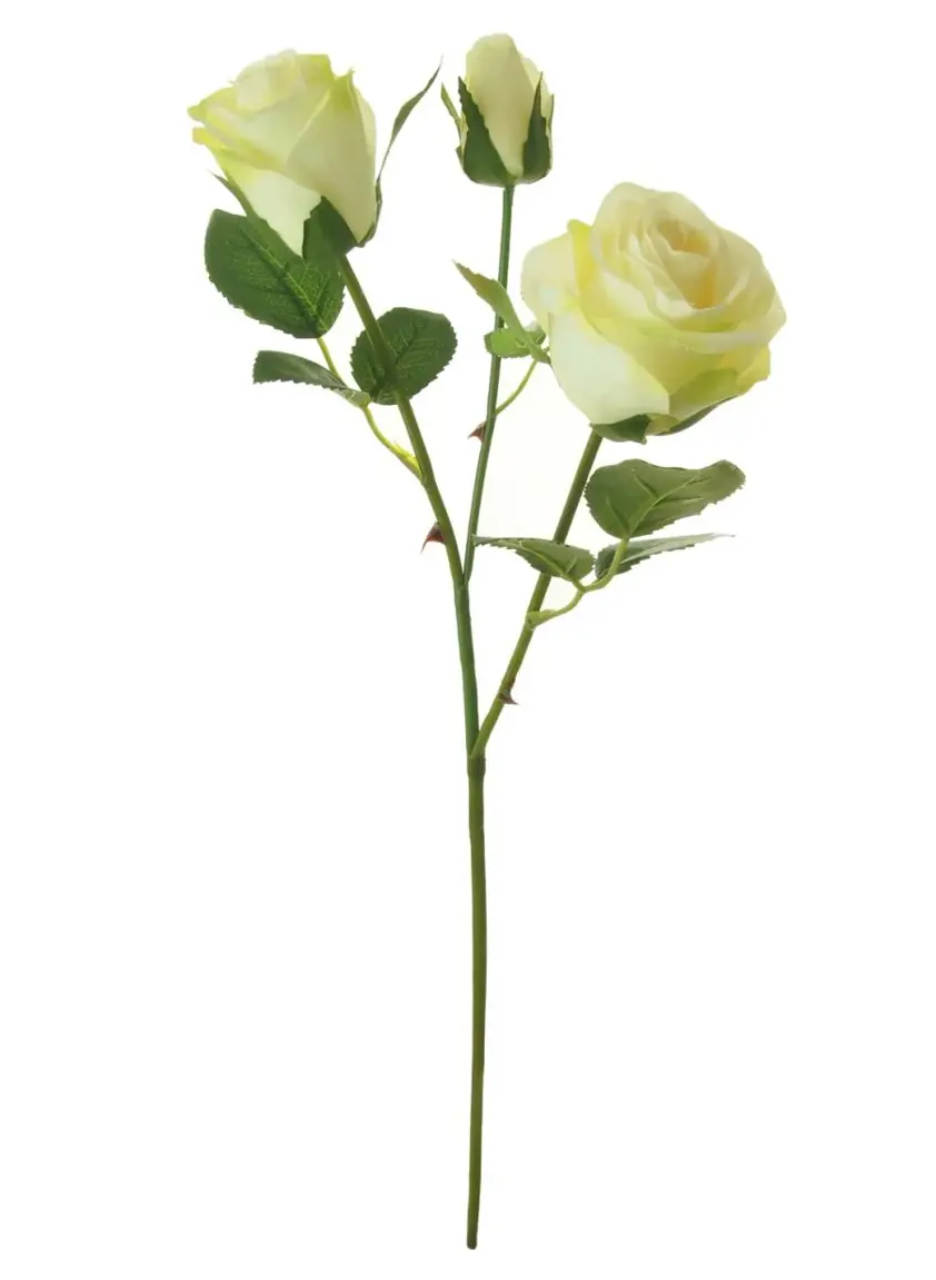 Silk Sml Savanna Rose Ivory