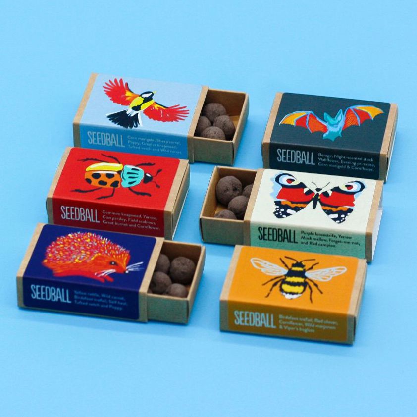 Wildflower Matchboxes