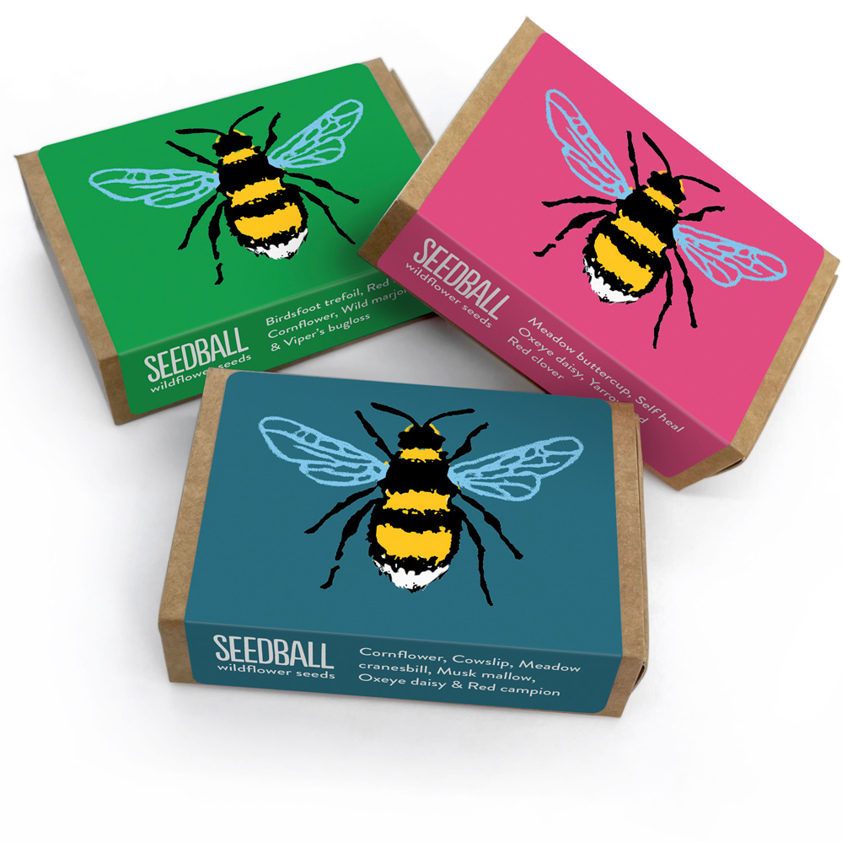 Wildflower Matchboxes