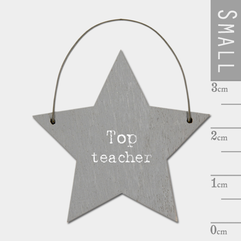 Little star sign-Top teacher