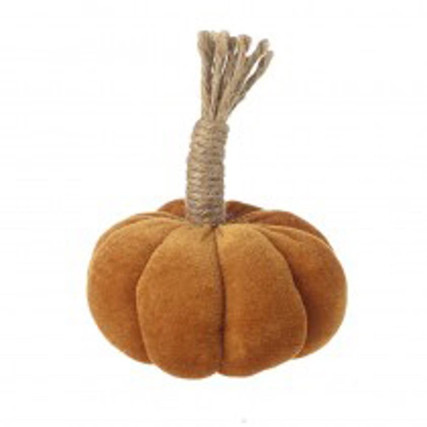 Velvet Orange Pumpkin