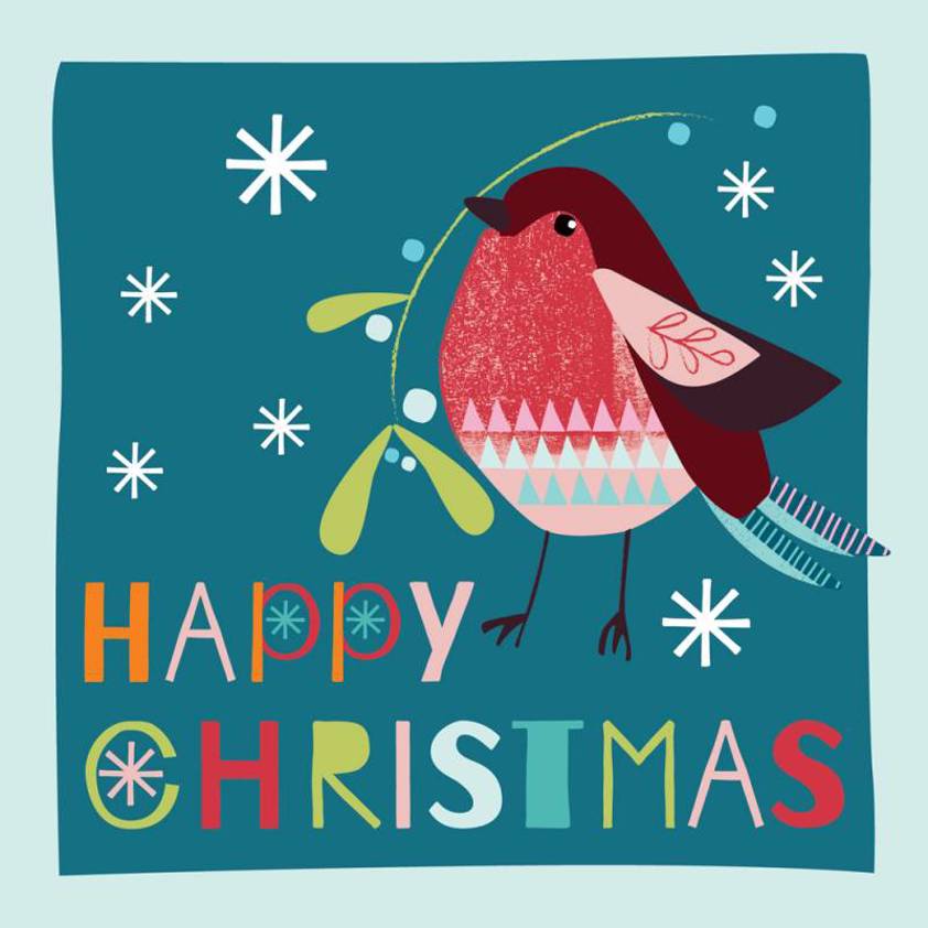 Happy Christmas Robin Cards (Pack of 10)