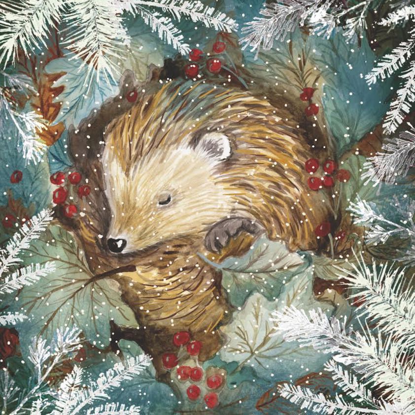 Food Bank - Sleepy Hedgehog Cards - Pack of 10