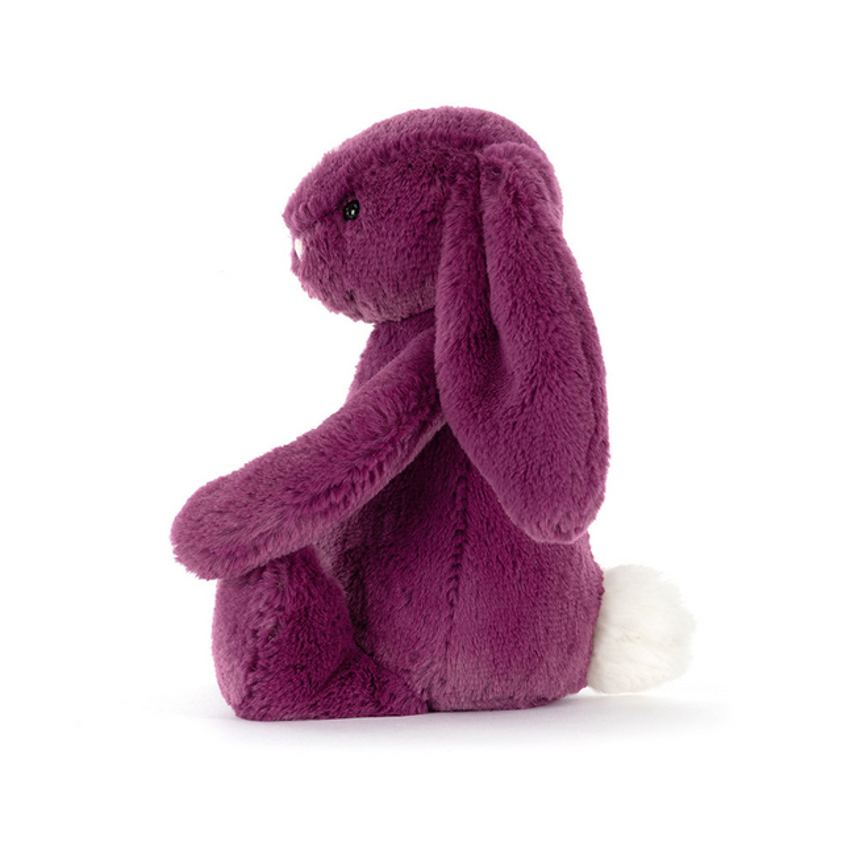 Little Bashful Bunny Allium