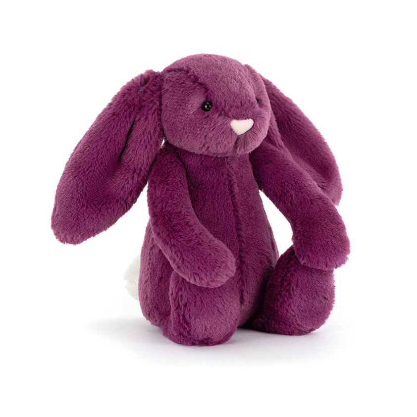 Little Bashful Bunny Allium