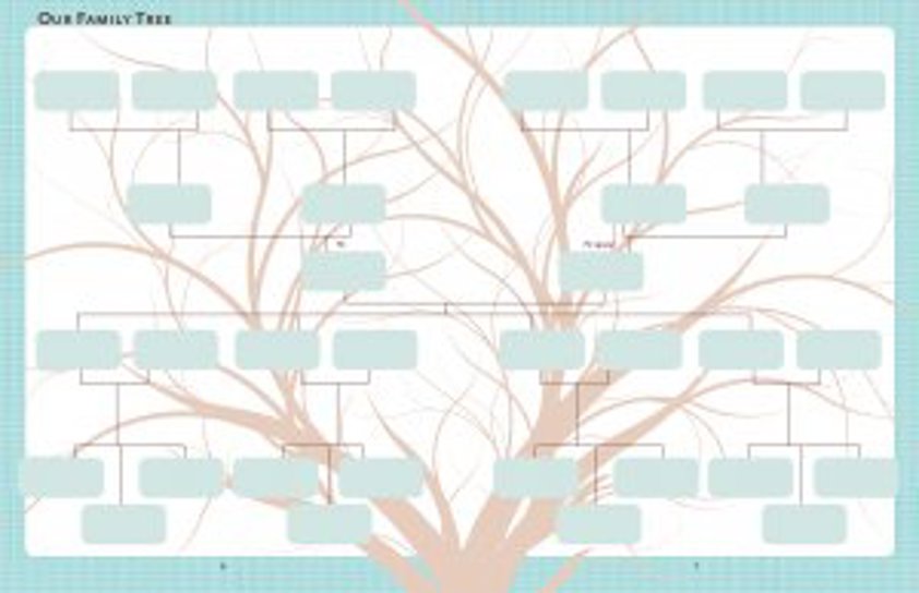 Our Family Tree