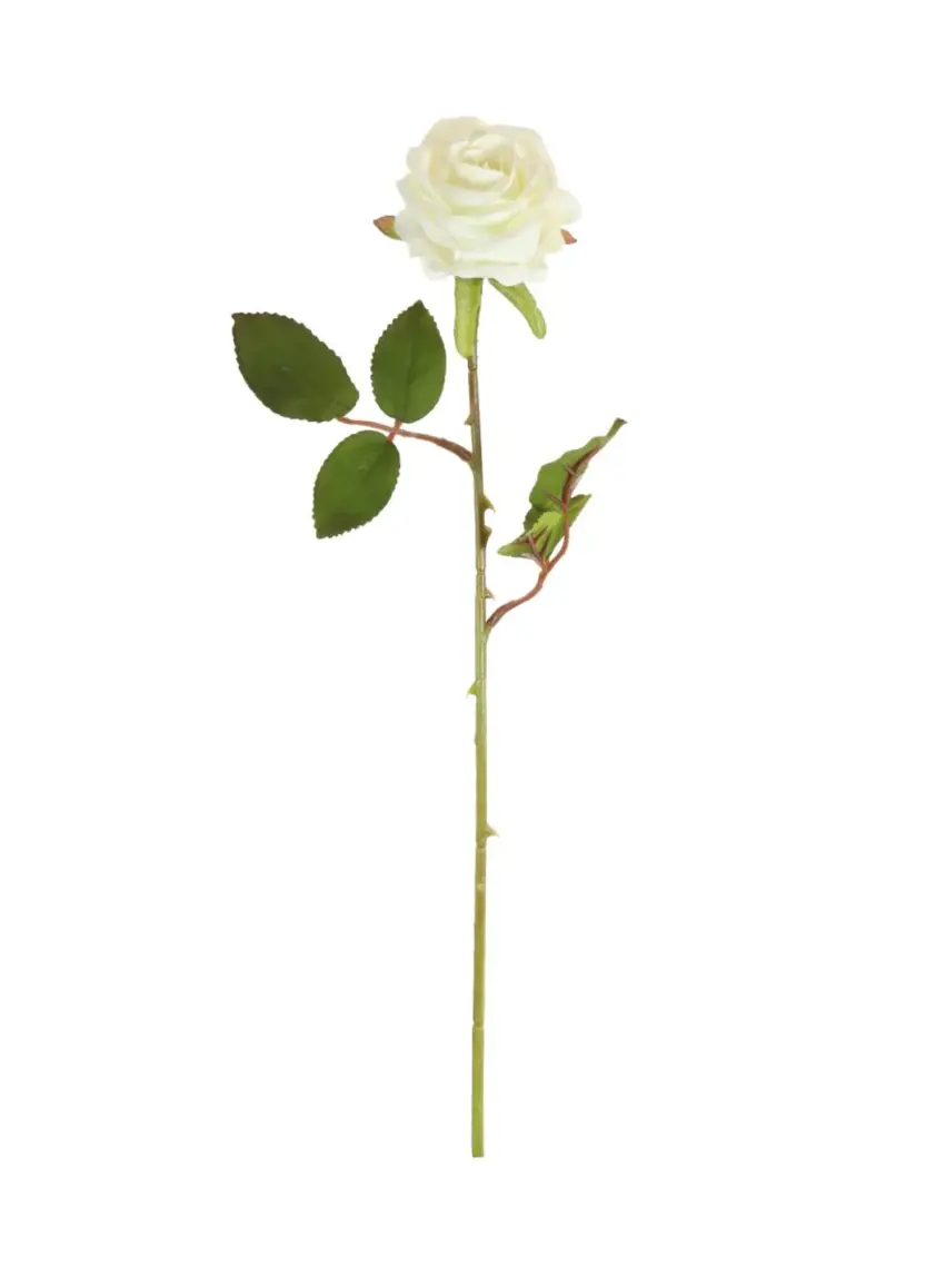 Silk Amira Rose Stem Cream