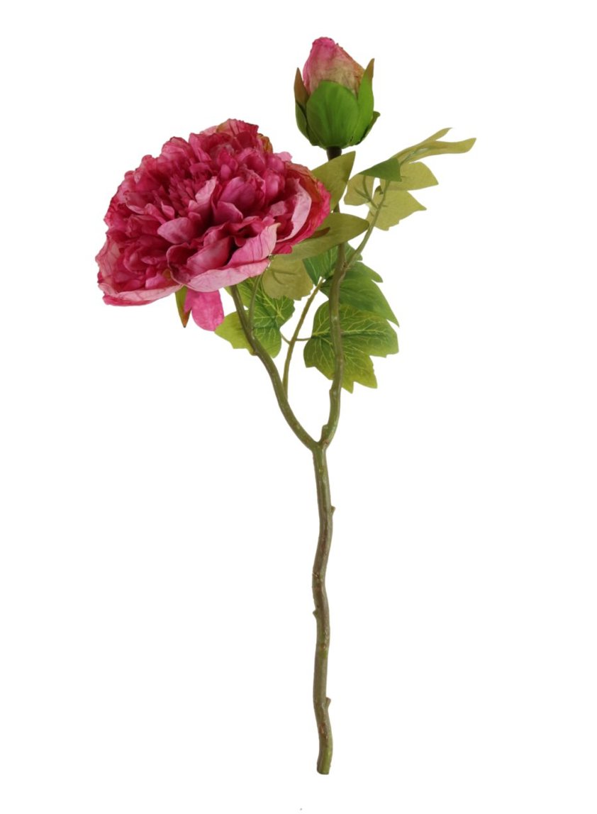 Dried Touch Open Peony Hot Pink 52cm