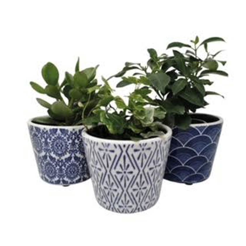 Plant Pot Delphi Midnight