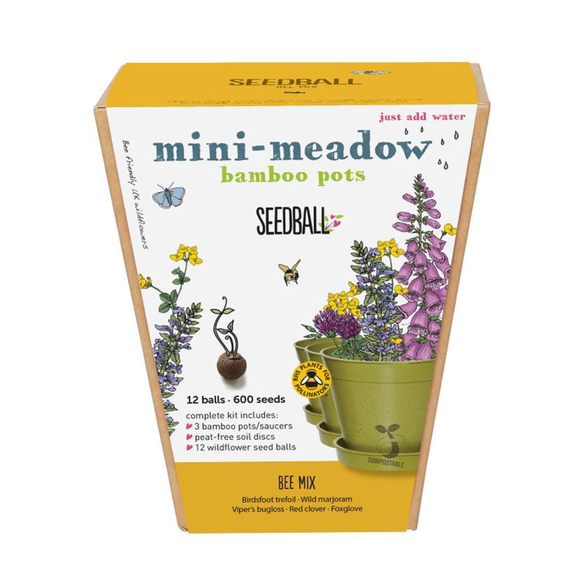 Mini Meadow Bamboo Pots Bee Mix