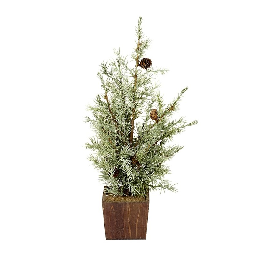 Fir Tree In Square Pot Small