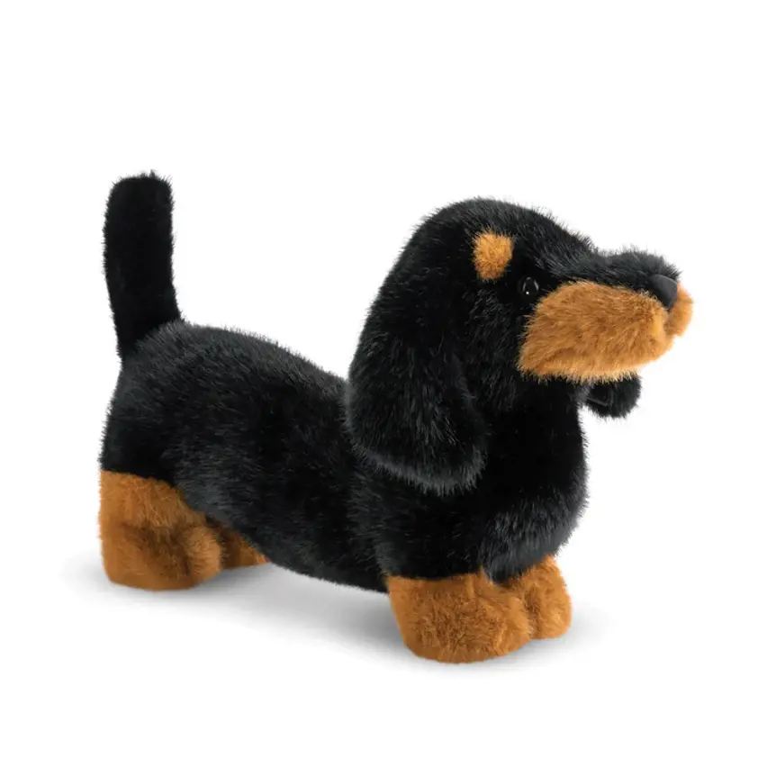 Borealis Koda Dachshund 15In